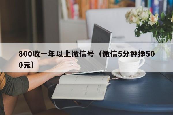 800收一年以上微信号（微信5分钟挣500元）