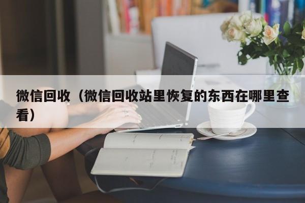 微信回收（微信回收站里恢复的东西在哪里查看）